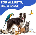 Beloved Pets 3.4 fluid ounce ear wash bottle lifestyle placement