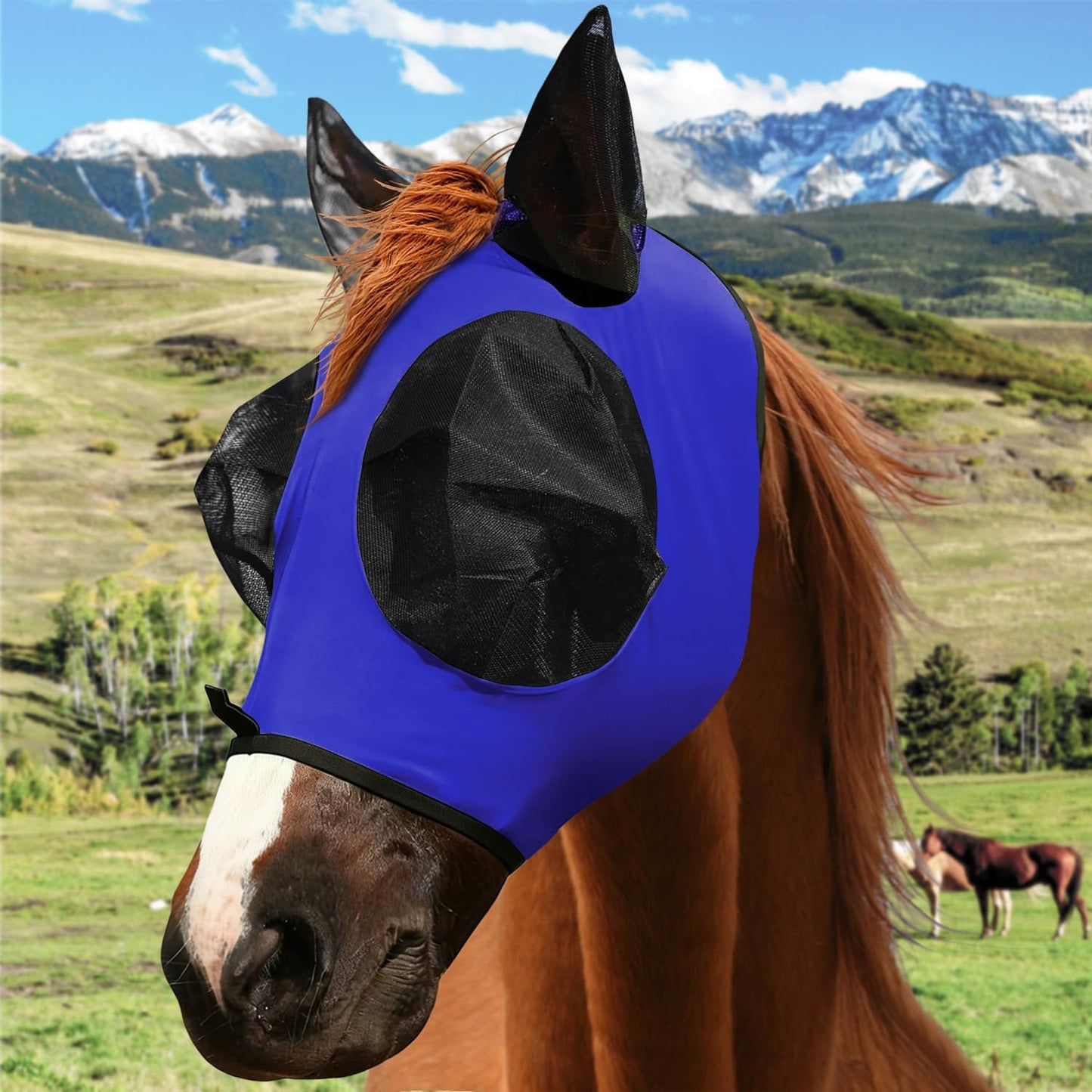 Youven equine gear fine mesh fly mask packaging