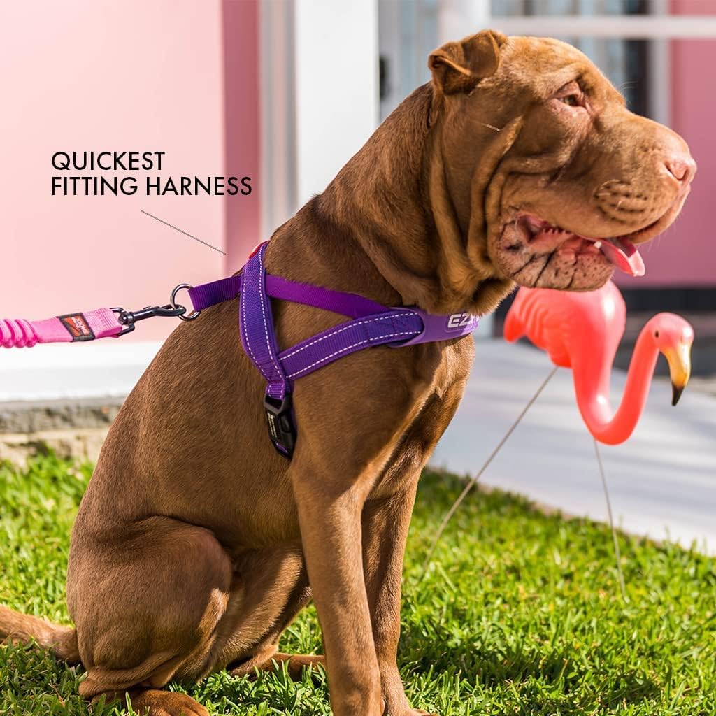 Adjustable straps on EzyDog Quick Fit medium harness