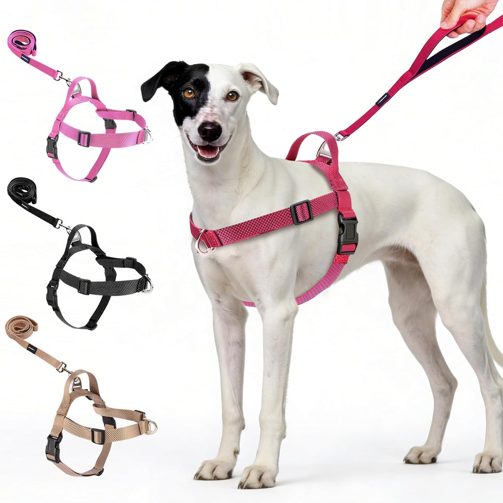 Annchwool No Pull Dog Harness with Front Clip and Easy Control Handle-Belly & Chest Adjustable Dog Harness and Leash Set for Medium Large Dogs-Heavy Duty Vest Harnesses Easy for Walking(Black,L) - Image 10