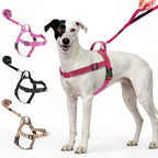 Annchwool No Pull Dog Harness with Front Clip and Easy Control Handle-Belly & Chest Adjustable Dog Harness and Leash Set for Medium Large Dogs-Heavy Duty Vest Harnesses Easy for Walking(Black,L) - Image 10
