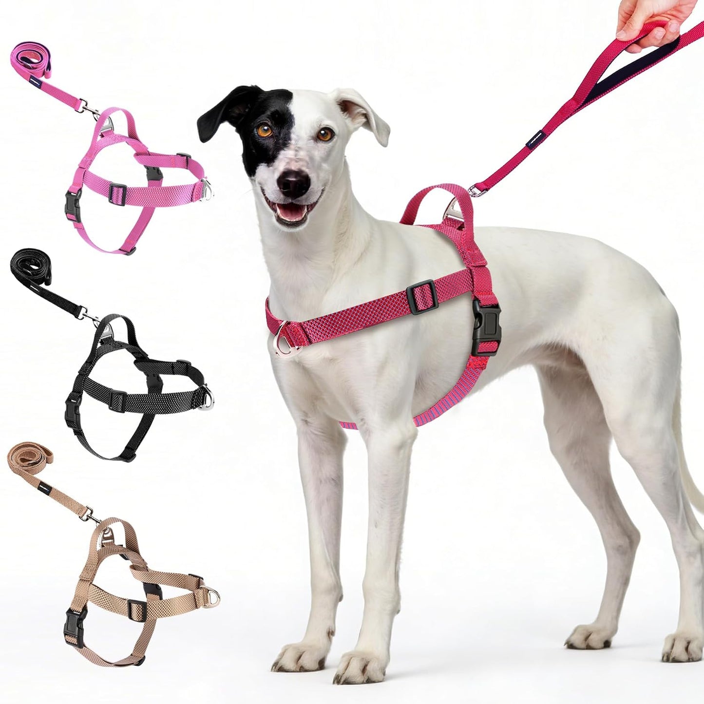 Annchwool No Pull Dog Harness with Front Clip and Easy Control Handle-Belly & Chest Adjustable Dog Harness and Leash Set for Medium Large Dogs-Heavy Duty Vest Harnesses Easy for Walking(Black,L) - Image 10