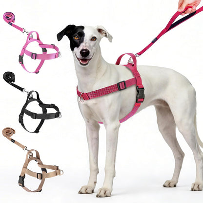 Annchwool No Pull Dog Harness with Front Clip and Easy Control Handle-Belly & Chest Adjustable Dog Harness and Leash Set for Medium Large Dogs-Heavy Duty Vest Harnesses Easy for Walking(Black,L) - Image 10