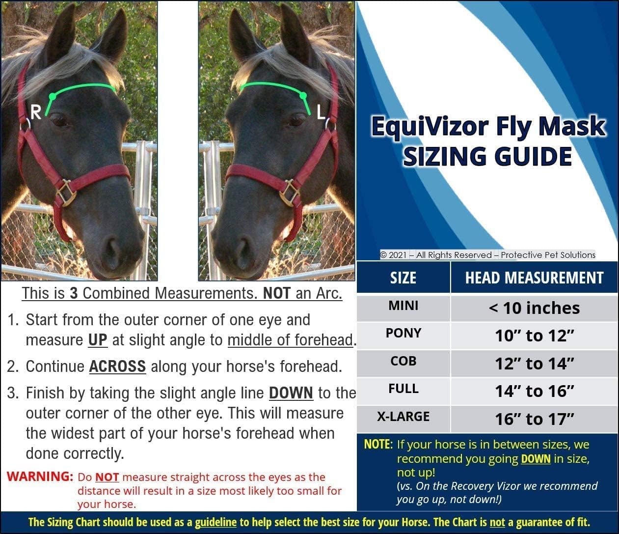 EquiVizor mask secured over a horse bridle for riding