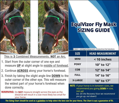EquiVizor mask secured over a horse bridle for riding