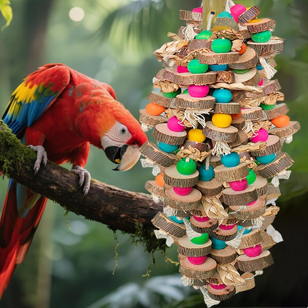 Macaw bird playing with HZDZ LCPAW wooden chewing accessory