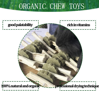 Kathson small animal enrichment toys showing alfalfa grass cakes