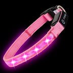 Waterproof pink LED pet collar under water testing demonstrating IPX7 protection