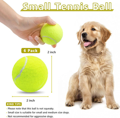 Magicorange 2 inch colorful dog tennis balls in mesh bag
