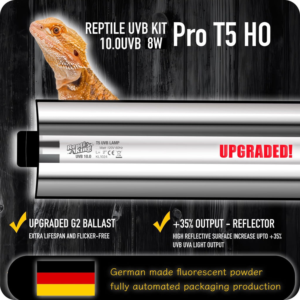 ReptiKing terrarium lighting equipment for bearded dragons and tortoises