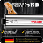 ReptiKing terrarium lighting equipment for bearded dragons and tortoises
