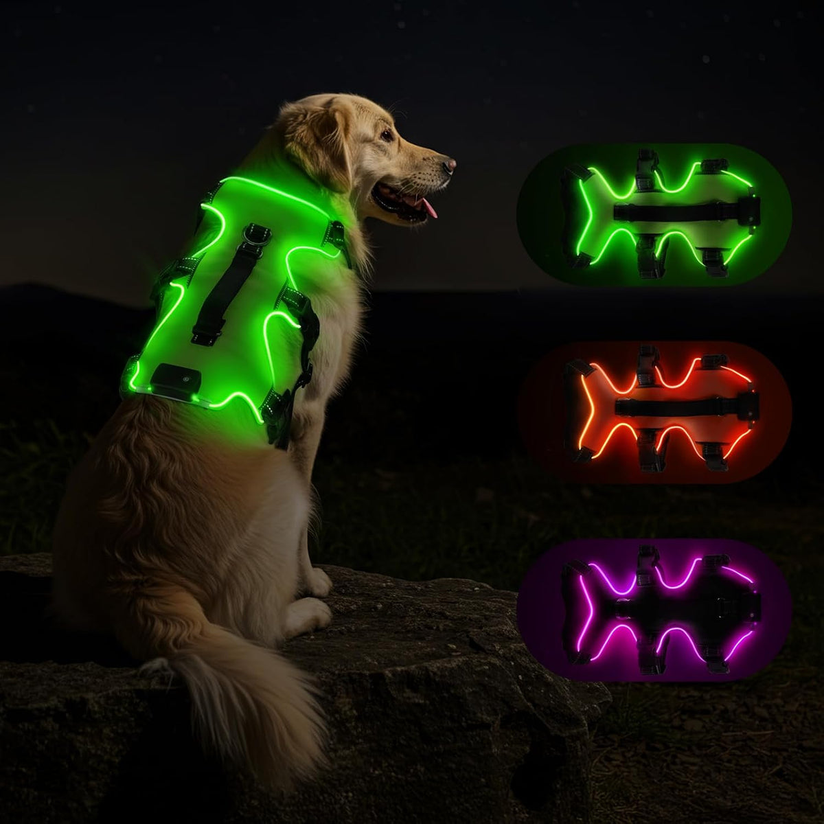 Fiveda dog vest packaging and components