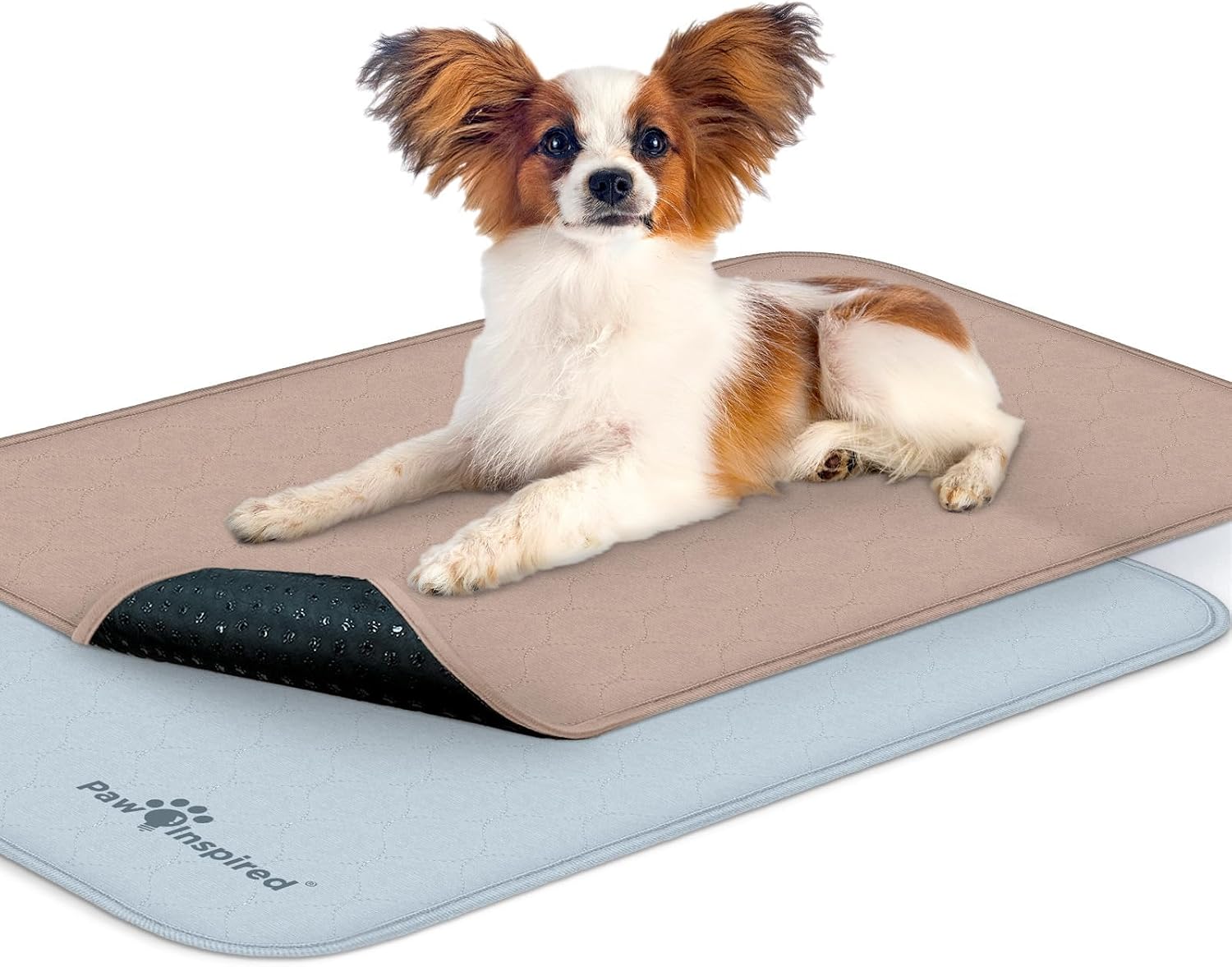 Paw Inspired Washable Crate Liners for Dogs (2 Pack), Leakproof, Non-Slip Pee Pads for 36 Inch Kennels, Reusable Puppy Pads for Potty Training, Whelping, Waterproof Mat (35x22 Inch, Pack of 2) - Image 9