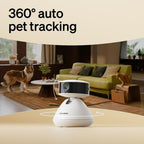 Petlibro Scout camera night vision mode demonstration