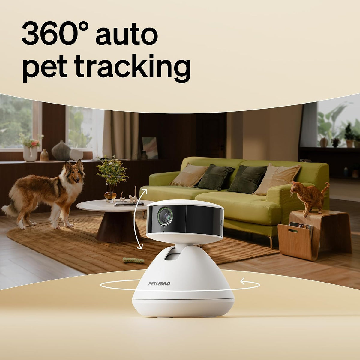 Petlibro Scout camera night vision mode demonstration
