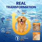 TTLXBL pet health supplement packaging detailing EPA and DHA ingredients