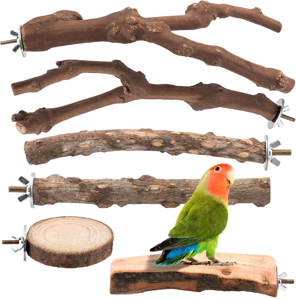 4 Pack Natural Wood Bird Perch Set for Parakeet Cage - Image 9