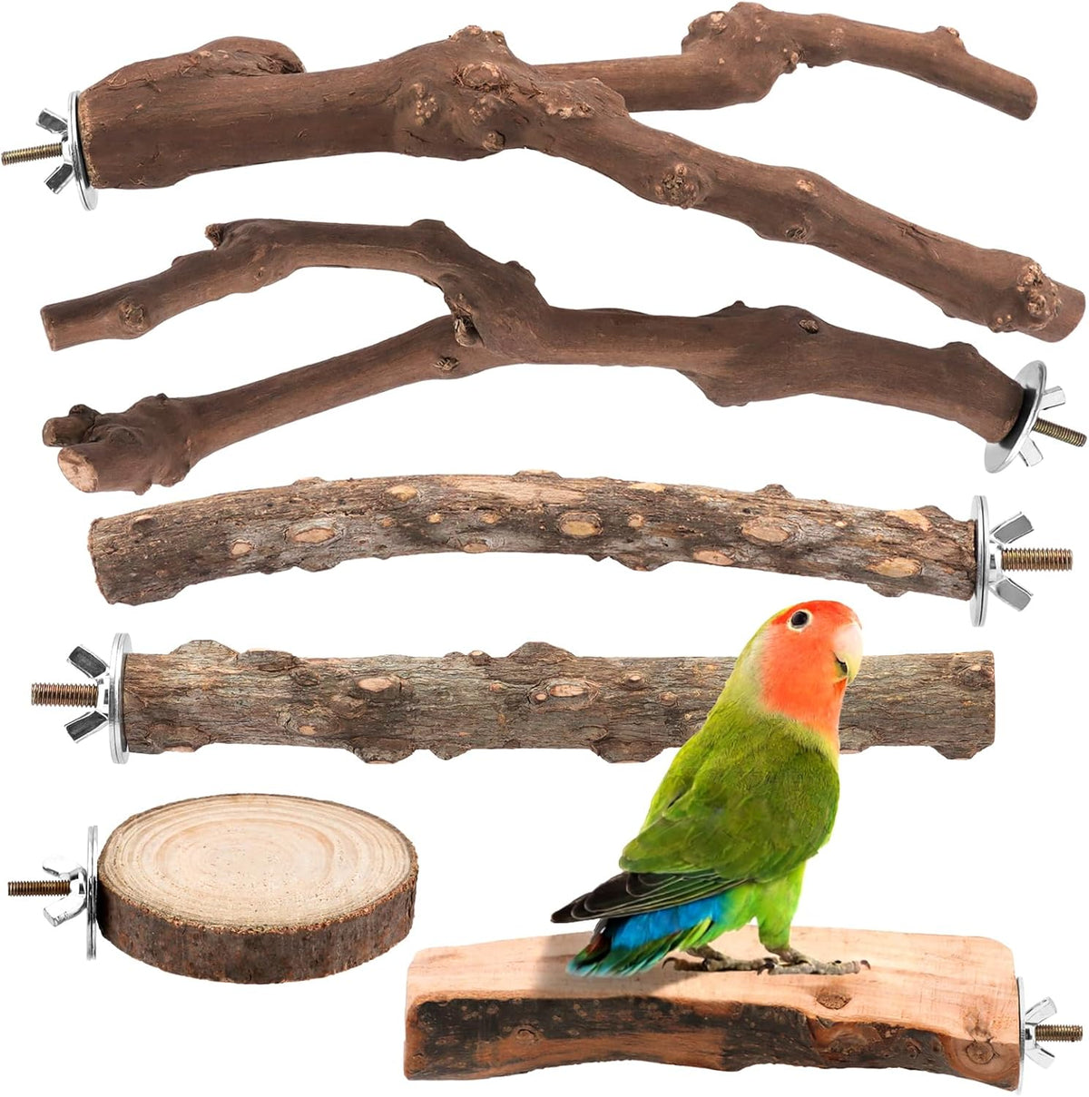 4 Pack Natural Wood Bird Perch Set for Parakeet Cage - Image 9
