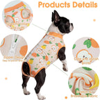 Dog wearing orange fruit pattern surgical onesie side view
