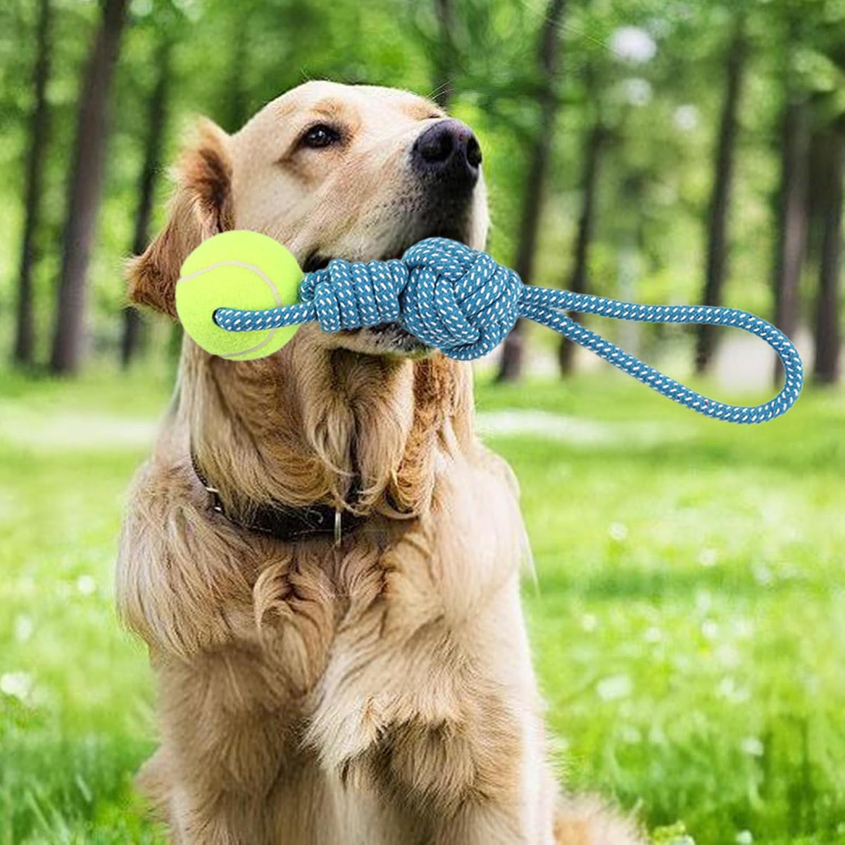 Close up of the non-toxic cotton fibers on the Erhalithegro tug of war dog toy.