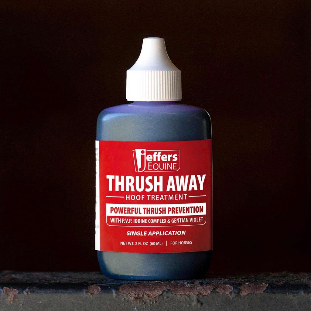 Jeffers two percent iodine liquid formula for equine frog and white line protection.