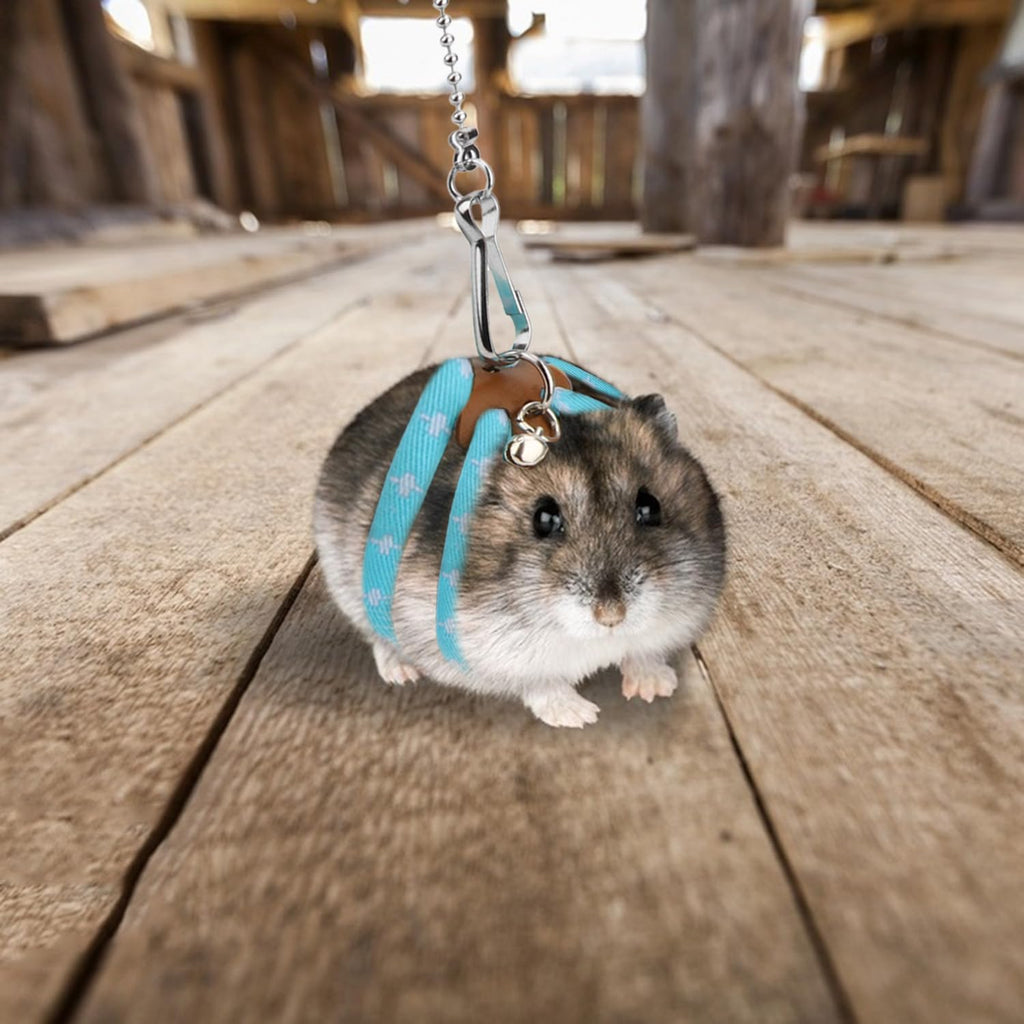 Hypeety Syrian hamster walking lead set laid out flat