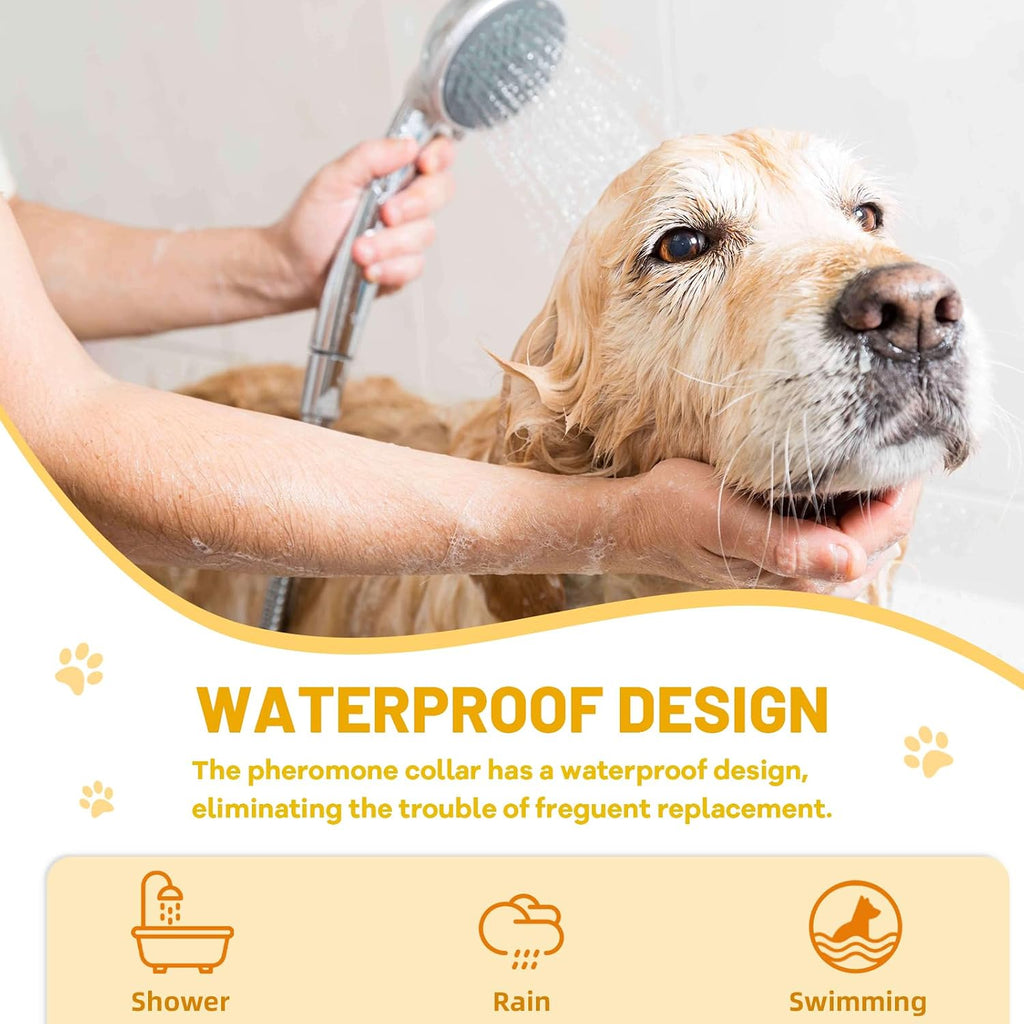 Waterproof dog calming collar being worn by a large dog during outdoor rain play.