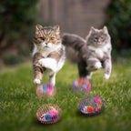 Jecery durable steel wire cat ball alternative view premium pet supply.