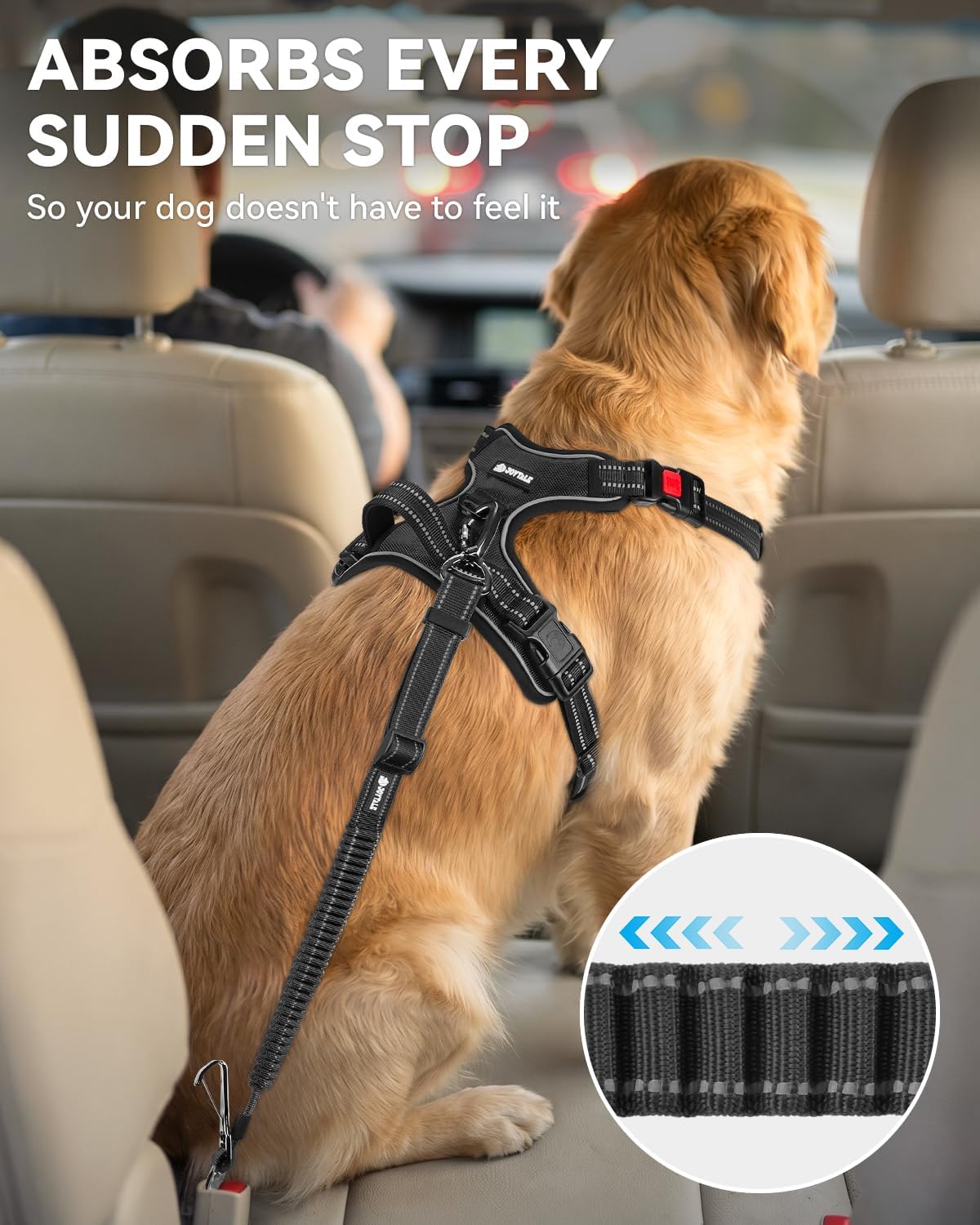 Joytale bungee dog tether showing adjustable length
