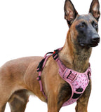 rabbitgoo Dog Harness for Large, No Pull Easy On & Off with 3 Buckles Pet Harness, Adjustable Soft Walking Vest with 2 Clips and Handle, Reflective for Large Dogs, Blue, L - Image 14