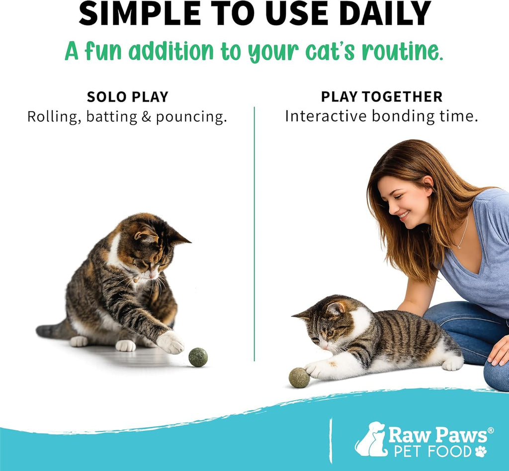 Raw Paws pet toy retail box display for indoor cats.