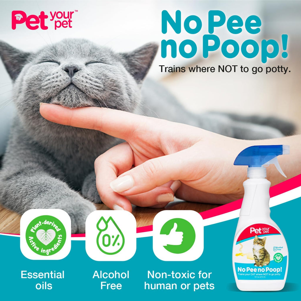Authentic imported kitten potty training aid bottle placement
