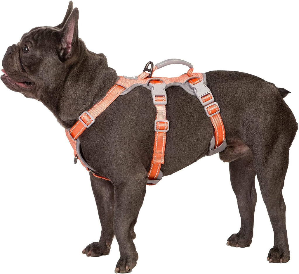 Huntboo Escape Proof Harness, No Slip Dog Harness Escape Proof, Fully Reflective Harness with Handle, Breathable, Durable, Adjustable Vest for Medium Dogs Walking and Training Gear (Black, M) - Image 12