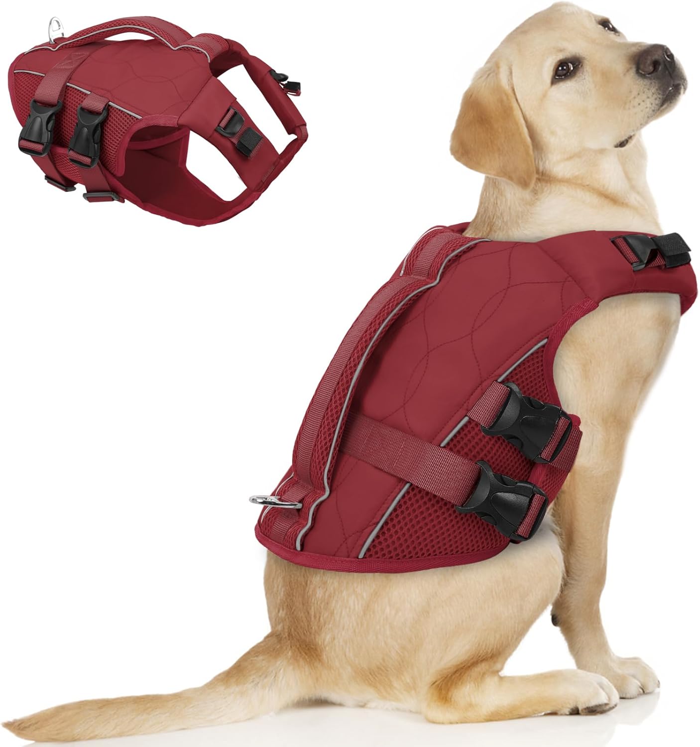 ASENKU Dog Life Jacket, High Floatation Dog Swimming Vest with Rescue Handles for Small Medium Large Dogs, Pet Safety Swimsuit Preserver for Pool Beach Boating (LakeGreen, L) - Image 15