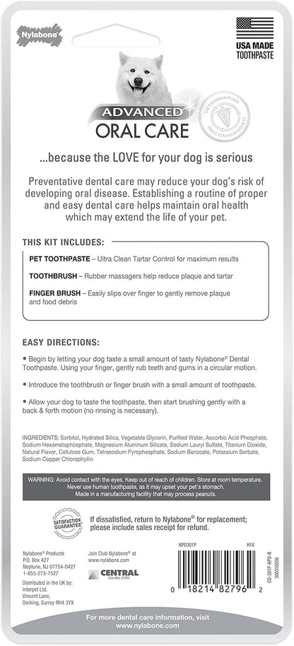 Nylabone adult pet toothbrush showing rubber gum massagers and ergonomic handle