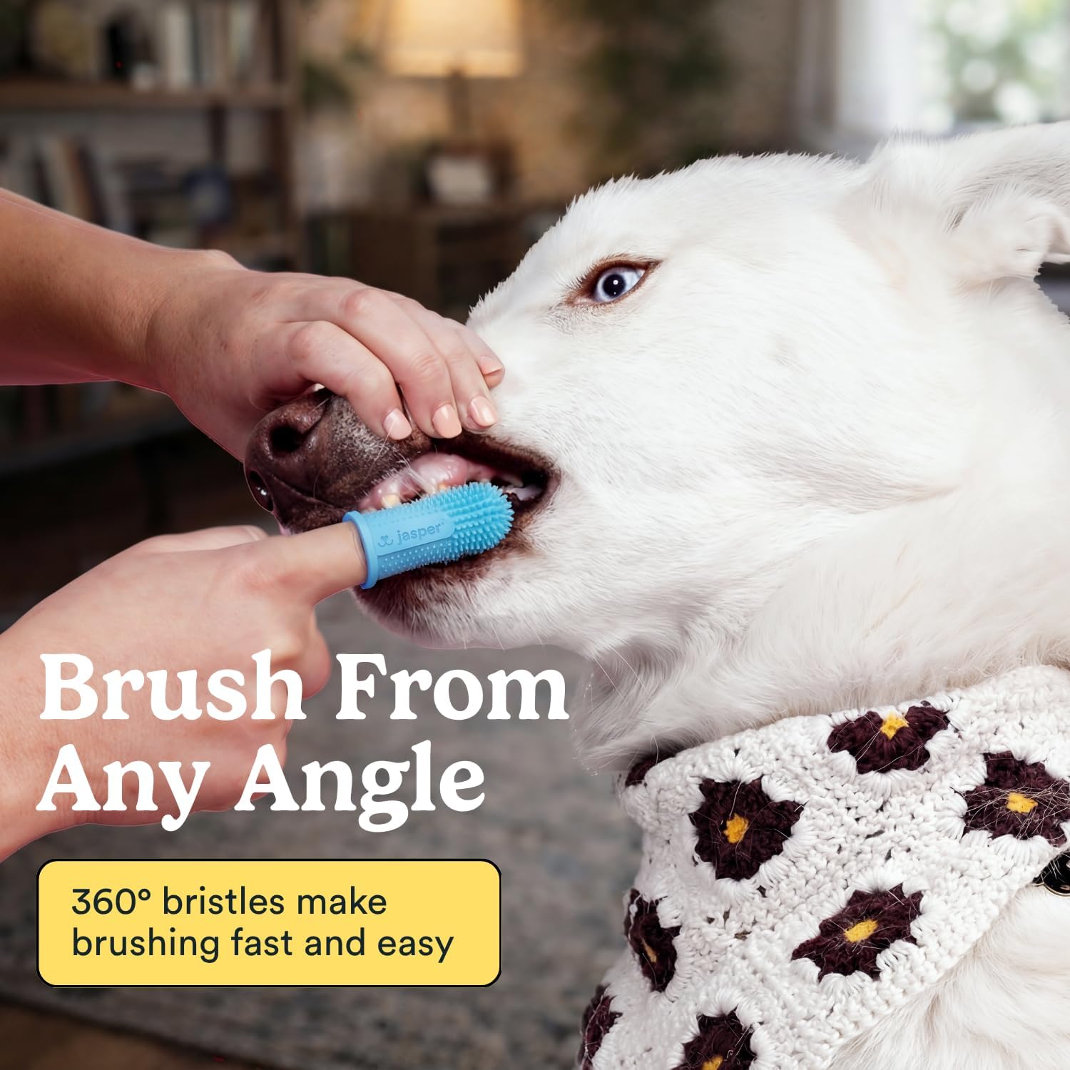 Jasper Dog Toothbrush, 360 Dog Tooth Brushing Kit, Finger Toothbrush, Cat Tooth Brush, Teeth Cleaning, Pet Tooth Brush for Small & Large Pets, Pet Toothpaste Not Included, 2-Pack Blue - Image 2