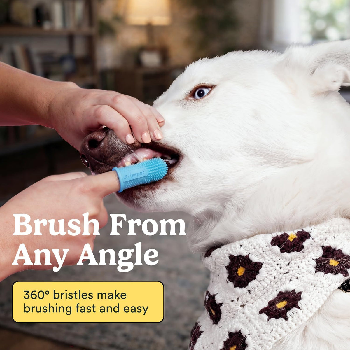 Jasper Dog Toothbrush, 360 Dog Tooth Brushing Kit, Finger Toothbrush, Cat Tooth Brush, Teeth Cleaning, Pet Tooth Brush for Small & Large Pets, Pet Toothpaste Not Included, 2-Pack Blue - Image 2