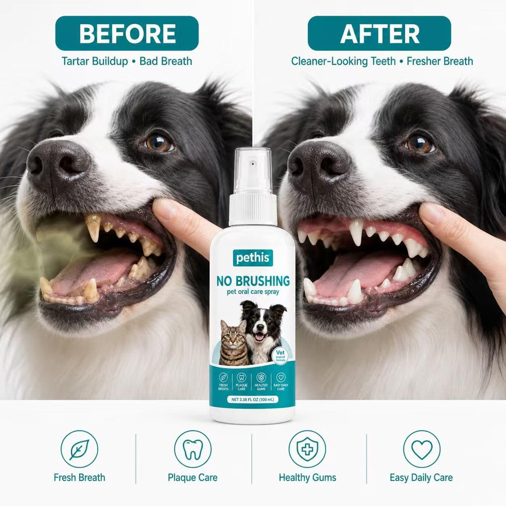 No Brushing Dog & Cat Teeth Cleaning Spray - Dog Breath Freshener & Plaque Remover, Pet Oral Care Spray for Dogs and Cats Tartar Control & Healthy Gums 3.38 fl oz / 100ml - Image 5
