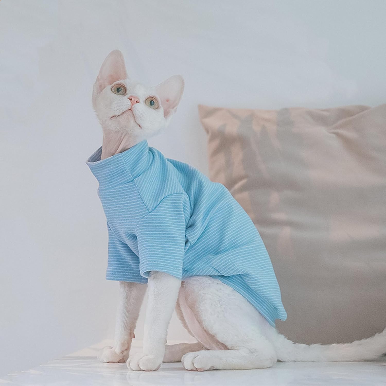 Side profile of Sphynx cat wearing blue pinstripe thermal fleece shirt