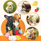 Loyee squeaky toy collection for small dogs
