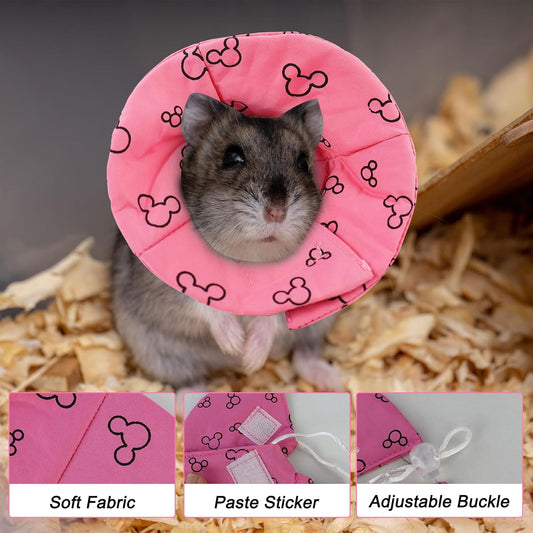 Andiker small pet Elizabeth collar showing adjustable buckle and soft fabric texture
