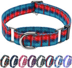 No buckle adjustable martingale collar by Hikiko for large breeds