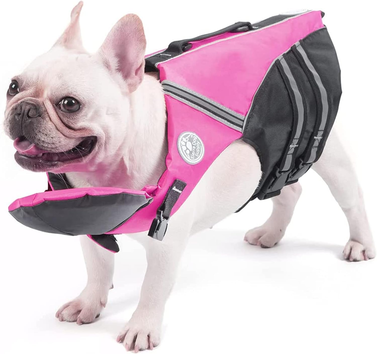 Petglad adjustable dog life vest packaging illustration showing chest girth measurement guidelines.