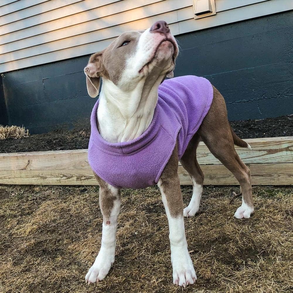 Authentic Gooby winter pet clothes for small dogs being adjusted on a pet.