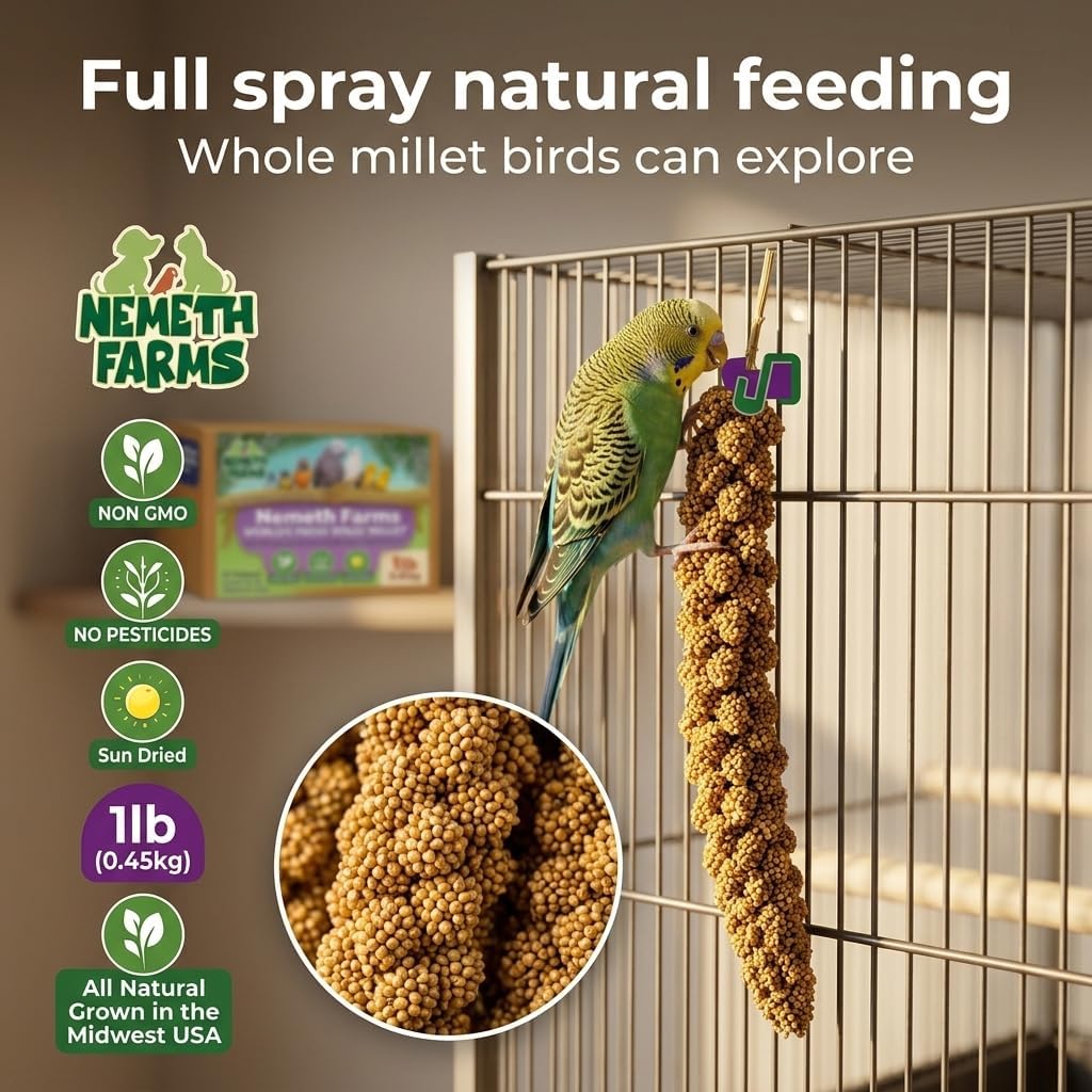 Nemeth Farms Spray Millet - Edible Tops Only, Non-GMO and Sun-Dried - 1 lb for Parakeets, Canaries and Finches - Image 9