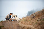 Ruffwear travel dog bowl filled with fresh water on an outdoor trail