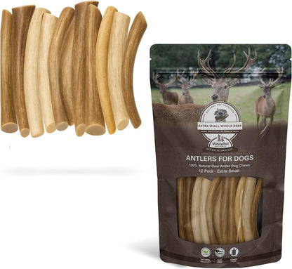 Whitetail Naturals Deer Antler Dog Chews (3 Pack Medium) - Wild Sourced, Naturally Shed Whole Antlers for Dogs - Long Lasting Dog Bones for Power Chewers - Image 9