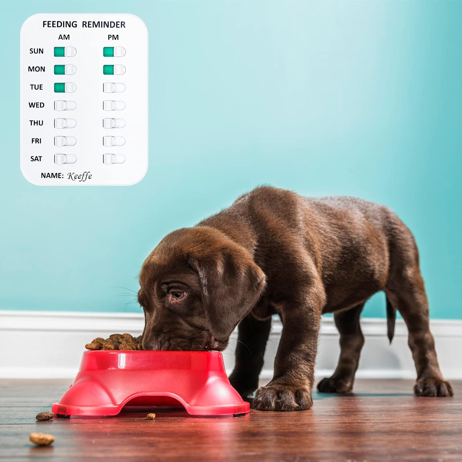 Close up of the durable ABS plastic material on the Coolrunner pet schedule reminder board.