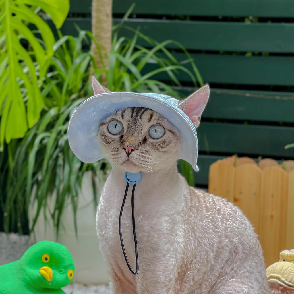 Top view of blue pet hat for summer outdoor activities