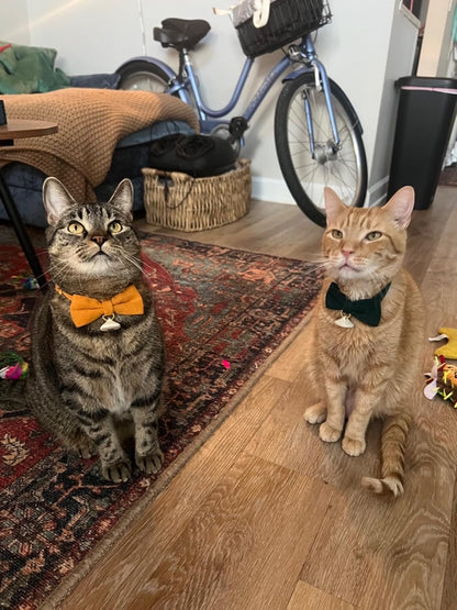 Two pack imported Ewinoom adjustable cat collars for boy and girl kittens